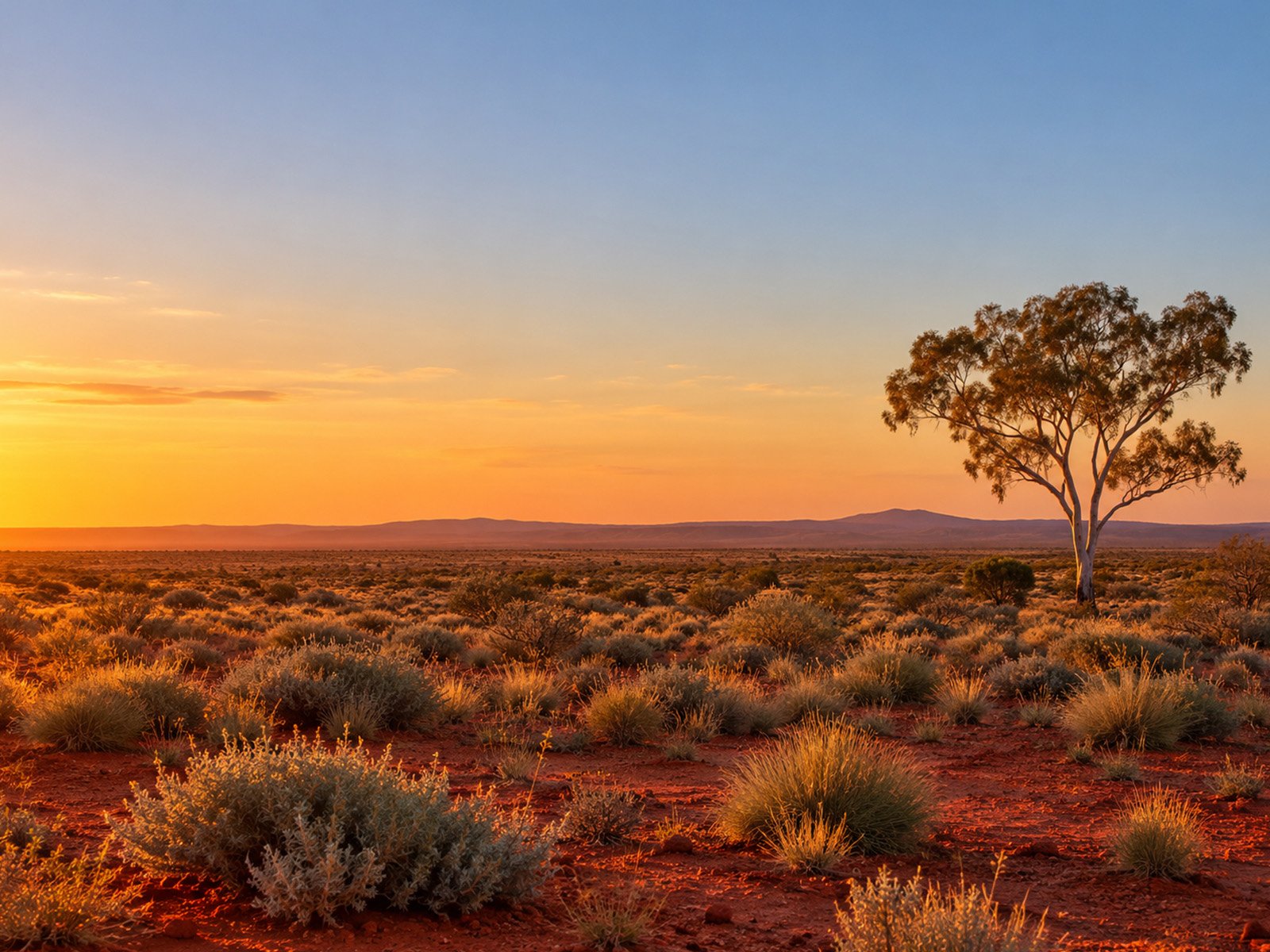 Red earth plain and wide sky in Australian country at golden hour